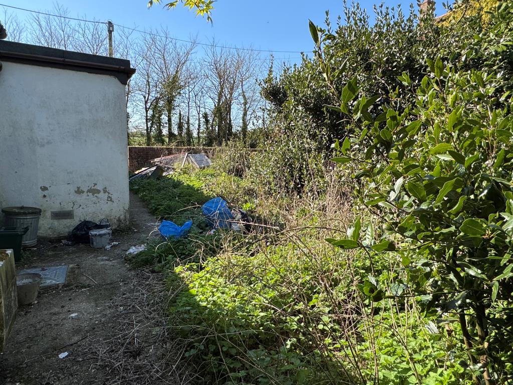 Lot: 71 - FREEHOLD THREE-BEDROOM COTTAGE FOR IMPROVEMENT - The Rear Garden